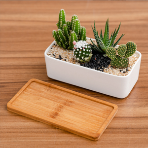 Mini <span class=keywords><strong>pot</strong></span> de fleur succulente en céramique blanche et outils de plantation <span class=keywords><strong>pot</strong></span> <span class=keywords><strong>rectangulaire</strong></span> simple avec plateau en <span class=keywords><strong>bambou</strong></span> - Product Image 5
