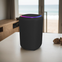 Enceinte sans fil portable de cinéma maison avec subwoofer, grande capacité, Hi-Fi, pour fêtes, téléphones Android, utilisation en extérieur, en plastique