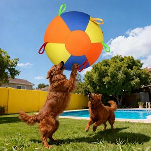 Jouet d'entraînement indestructible, grande balle pour <span class=keywords><strong>chien</strong></span> avec poignées pour jouer en extérieur, balle de pâtéage pour chiens - Product Image 2