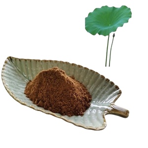 Alta qualidade Lotus folha extrato pó lótus alta pureza Lotus folha extrato nuciferina 98% - Product Image 1
