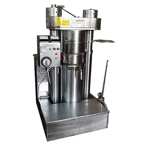 Небольшой Электрический гидравлический пресс машина для оливкового масла цена машина для производства масла цена в Индии