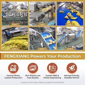 Línea de Procesamiento de Papas Fritas en Rodajas/Cubos Semiautomática para Emprendimientos, Equipo de Producción de Papas Fritas a Pequeña Escala, 400-600 kg/h - Product Image 4