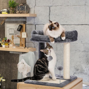 Caliente fuente de fábrica bajo costo alta calidad gato escalada gato juguetes interactivo gato escalada - Product Image 1