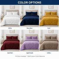 Lot de 3 pièces de literie d'hiver douce et épaisse en velours 100 % polyester, ensemble de couette unie surdimensionnée