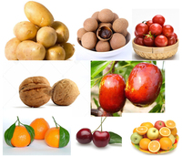 Hoge Kwaliteit Best Verkopende Cherry Tomaat Sorteerder/Fruit Grader Sizer
