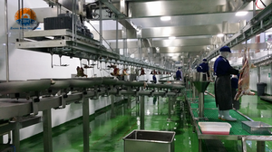 Équipement <span class=keywords><strong>d</strong></span>'abattage rentable pour moutons, agneaux et chèvres Machines de traitement efficaces en abattoir au <span class=keywords><strong>prix</strong></span> <span class=keywords><strong>d</strong></span>'usine - Product Image 2