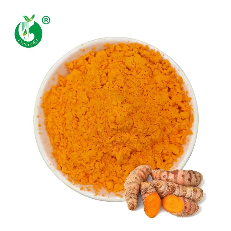 Produsen Terbaik Harga Orange Powder Kurkumin 95