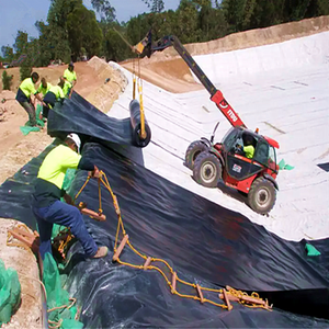 Membrana Geo impermeable de 0,2mm a 2mm, tanque de Lago Artificial de plástico, revestimiento de presa, piscina de natación, estanque de peces, revestimiento de granja, Geomembrana HDPE - Product Image 6