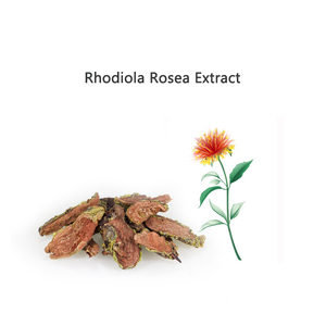 工場サプライヤー中国の伝統的なハーブRhodiolaRosea根エキスSalidroside 3% 5% <span class=keywords><strong>10</strong></span>% 98% - Product Image 6
