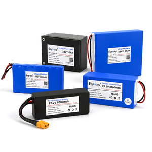 Batterie au lithium LiFePO4 24V 19.2V 40Ah 25.6V 45Ah pour éclairage solaire, robot AGV, trottinette électrique – Vente en gros - Product Image 5