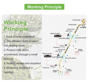 Trà mới <span class=keywords><strong>CCD</strong></span> màu SORTER, trà xanh phân loại máy, trà lá thiết bị chế biến - Product Image 2