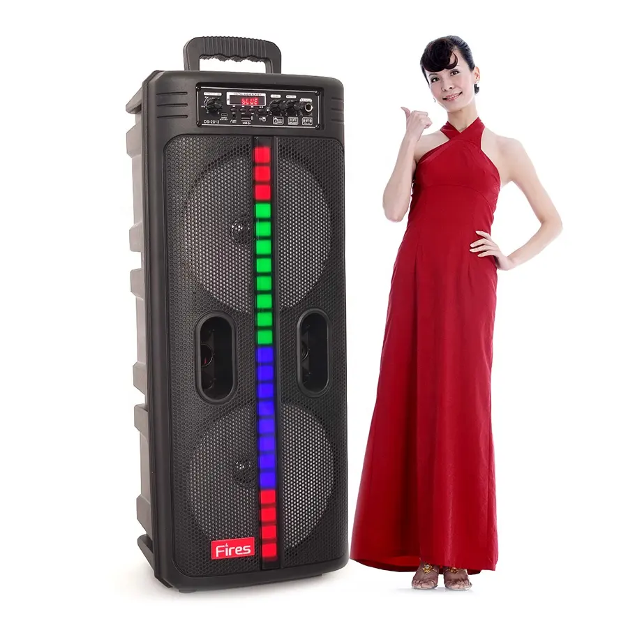 Doppio suono ibrido da 8 pollici Bass Caixa De Som Wireless BT Karaoke altoparlante portatile PA PRO ricaricabile