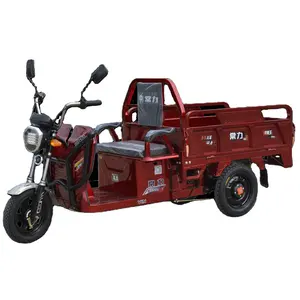 Chang li tricycle powerful electric tricycle cargo three wheeler electric scooter motorcycle for cargo