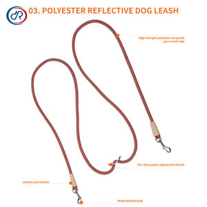 مقود كلب مضفر يدوياً من النايلون على الموضة الجديدة حبل فاخر بشعار مخصص لون شخصي مقود حيوانات أليفة متعددة الوظائف - Product Image 4