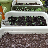Offre Spéciale Coco Construction Mélange de perlite de coco Conditionneur de sol expansé pour l'horticulture Agriculture et isolation