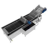 Bubble Type Gember Groenten Wasmachine Fruit En Groente Bubbel Reinigingsmachine Voor Voedselverwerking Lijn