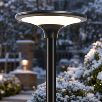Grand lampadaire solaire LED pour parc et jardin, éclairage extérieur, prix de gros direct usine