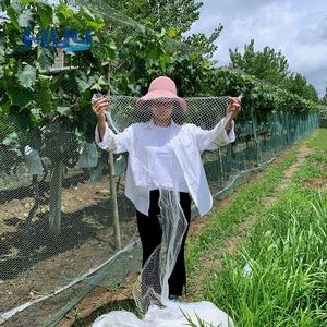 <span class=keywords><strong>Malla</strong></span> Anti-Pájaros de Polietileno de Alta Densidad / Red Anti-Pájaros - Product Image 5