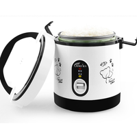 Mini cuiseur multifonction 0,6 L, voyage, portable, acier inoxydable 304, cuiseur vapeur, cuiseur à riz intelligent