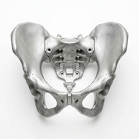 AsiaLink Fabrication de robots humanoïdes IA avec cadre de hanche robotique en alliage d'aluminium moulé sous pression de haute précision personnalisé