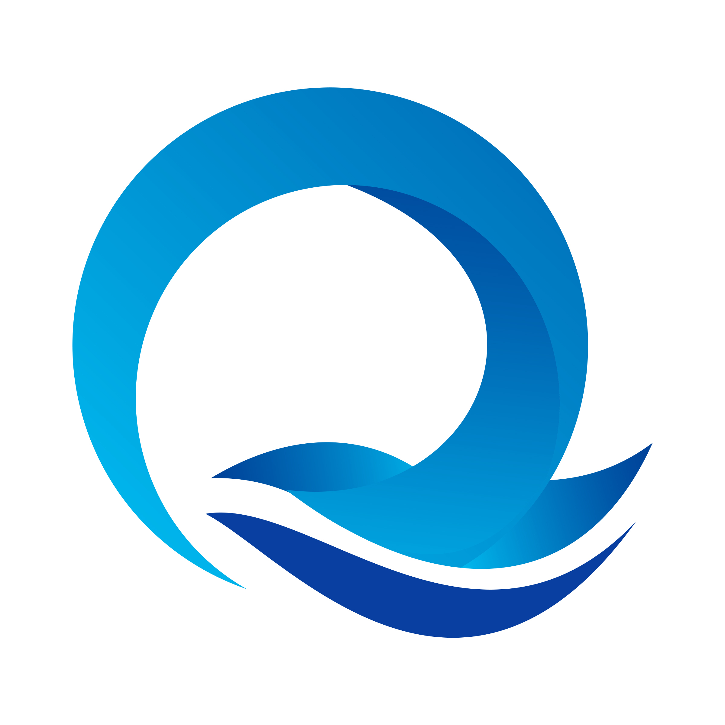Shanghai Qiongqi Trading Co., Ltd.