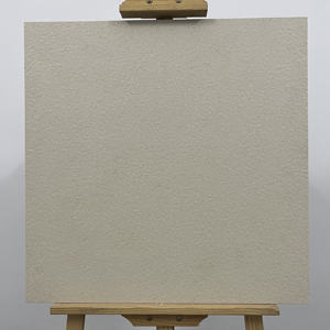 Doppelt beladene unglasierte polierte Porzellan-Spot fliese - Product Image 3