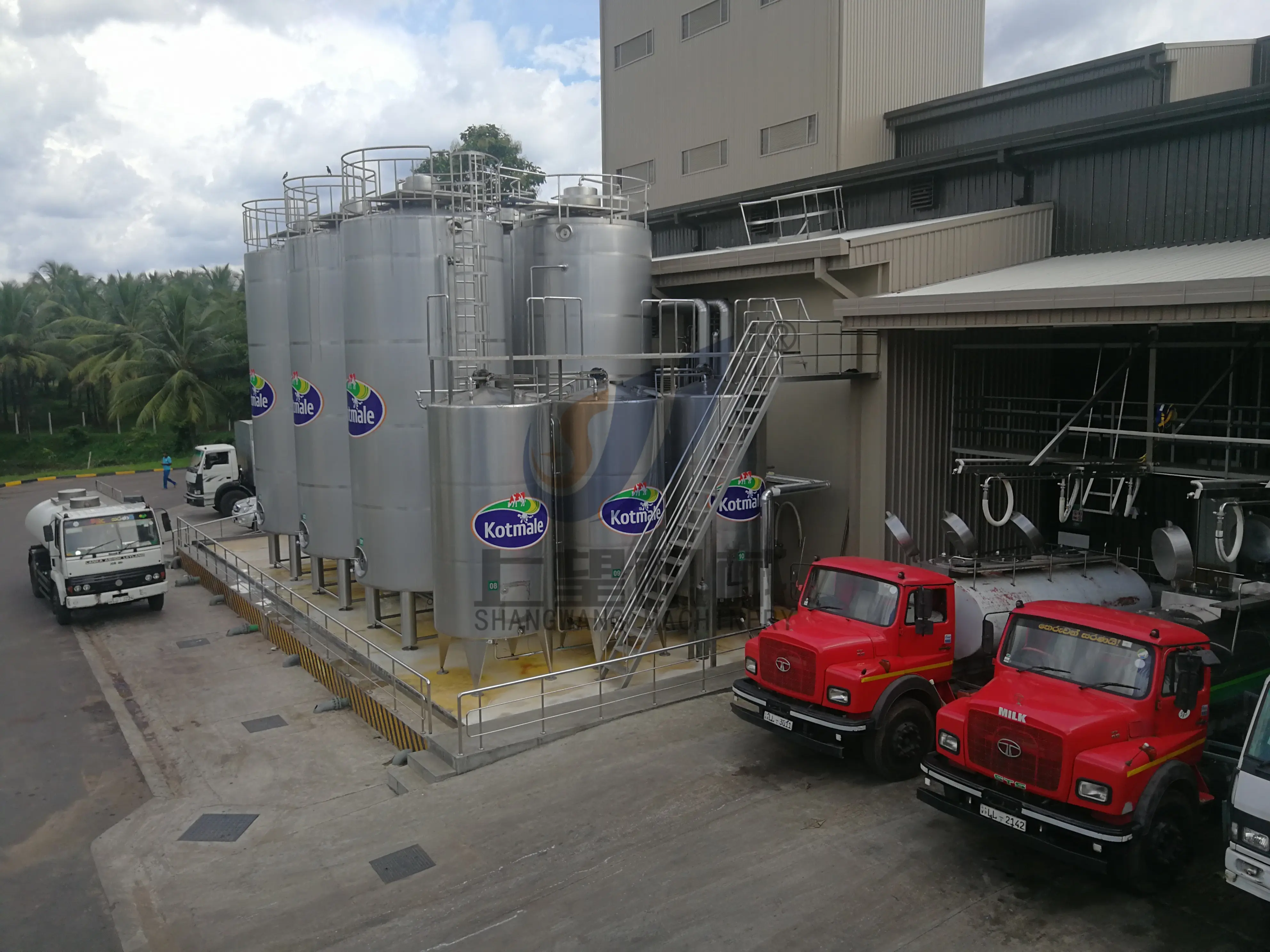 Factory Direct Sale milk plant milk powder production plant industrial oat milk machine