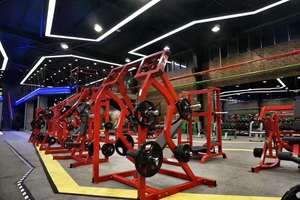 2020 Lzx de equipos de gimnasio fitness y el edificio del cuerpo de la máquina de peso libre martillo Lateral frontal baja - Product Image 3