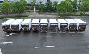 Gekoelde Vrachtwagen, Ollin Jeugd Onoverwinnelijk - Product Image 6