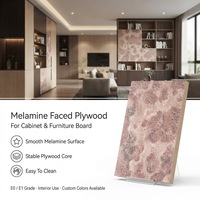 Contreplaqué 4x8 18mm à âme en eucalyptus, colle phénolique WBP, certifié FSC ENF CARB P2, coupe nette, prix de gros pour présentoirs de magasin de détail