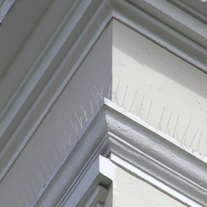Clôture de jardin en acier inoxydable à contrôle supérieur mural extérieur hautement efficace avec base en plastique <span class=keywords><strong>anti</strong></span>-oiseaux - Product Image 6