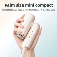 Sèche-cheveux portable mini 110000 tr/min sans balais haute vitesse 2 vitesses pliable avec concentrateur pour lissage français et usage enfant