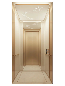 Kết cấu thép hoặc hợp kim nhôm khung nhà biệt thự thang máy với kính/thang máy - Product Image 6