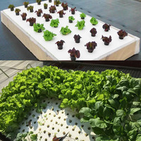 Panneau de mousse de radeau flottant EPE personnalisé en usine plaque de mousse de croissance XPS conseil pour système de culture de légumes hydroponiques
