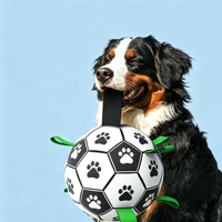 Jouet de football léger et très élastique pour chien, balle flottante pour l'entraînement en extérieur avec sangles multi-grip pour petits et moyens chiens