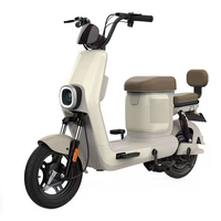 Bicicleta Eléctrica de Fábrica, 350W, 48V, 23Ah, Batería de Plomo-Ácido, Alta Velocidad, Controlador Inteligente, Motor de 750W para Ciudad
