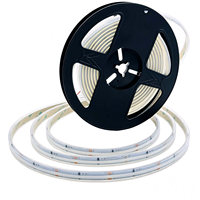 Bande lumineuse LED COB IP68 étanche DC12V 24V WS2811 WS2812B de qualité architecturale commerciale 576 LED/m, pixel adressable RGB