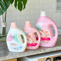 Détergent à lessive écologique à faible mousse pour la décontamination domestique et le nettoyage en profondeur des taches, marque privée