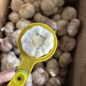 Sconti Esclusivi sui Nuovi Prodotti: <span class=keywords><strong>Aglio</strong></span> Bianco Fresco da 5cm all'Ingrosso con Certificazione GLOBAL GAP, <span class=keywords><strong>Aglio</strong></span> Bianco Normale in Offerta per <span class=keywords><strong>l</strong></span>'Esportazione - Product Image 3