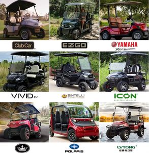 उच्च प्रदर्शन गोल्फ कार्ट बेलनाकार 48 वोल्ट 70H-160h लिथियम आयन बैटरी लंबी जीवन 36v/48 v/72v श्रृंखला - Product Image 5