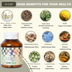 เครื่องเผาผลาญไขมันลดความอ้วนสำหรับผู้ใหญ่แคปซูลอิ่มตัวสีเขียวและสีขาวควบคุมน้ำหนักได้อย่างรวดเร็ว - Product Image 3