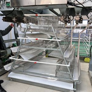 Un tipo 120 polli allevamento di pollame strato gabbia batteria galline ovaiole strato gabbia uovo - Product Image 1