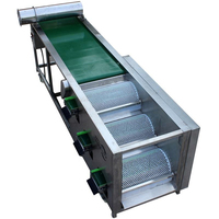 Goede Prijs Fruit Selecteren Apparatuur Amandel Blueberry Guave Grading Sorteren Sizing Machine