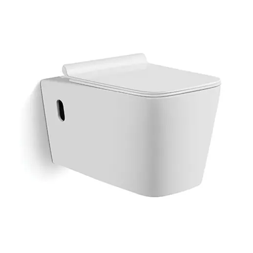 Chinese design new sanitary wc white ceramics S-843 wall hung toilet for hotel bathroom With Hidden Water Tank
