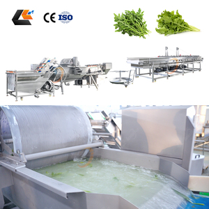 Macchine Industriali per il Lavaggio della Insalata di Finocchio, Macchina per Tagliare l'Insalata, Macchina per Confezionare Verdure, Linea per Spinaci - Product Image 1