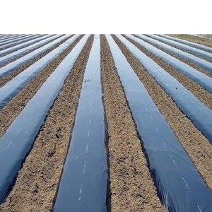 Film de paillage agricole en PE, tapis anti-mauvaises herbes, film de paillage - Product Image 3
