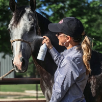 Spray démêlant pour chiens et chevaux, formule antistatique, élimine les poils crépus, spray démêlant pour crinière et queue de cheval, marque privée