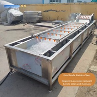 Automatische industriële luchtbelwasmachine voor fruit- en groenteverwerkingsfabrieken, roestvrijstalen wasmachine