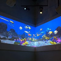 Jeux interactifs enfants dessinant Projection interactive peinture jeux muraux pour enfants Jeu de projecteur interactif immersif