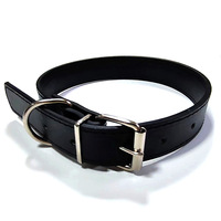 Collier universel pour chien et chat, en matériau PU, panneau lumineux, style décontracté, toutes saisons